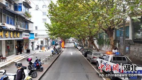 中新网湖北 湖北宜昌 难停车 逐步向 好停车 转变