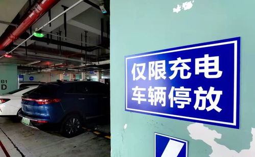 新能源充电难题引发焦虑 浙江方案助力这 桩 小事
