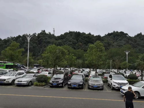 国庆第三天,梵净山人气十足,迎来客流高峰